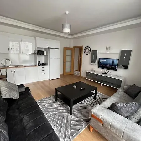 Cozy Homes 2 Well Designed